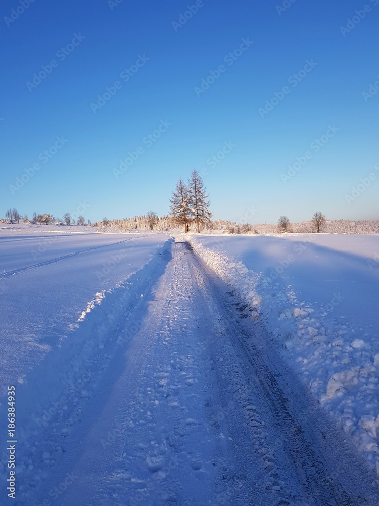 Droga w zimie