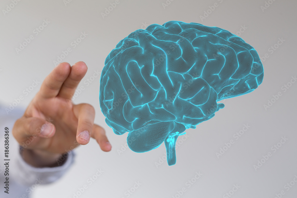 brain brain