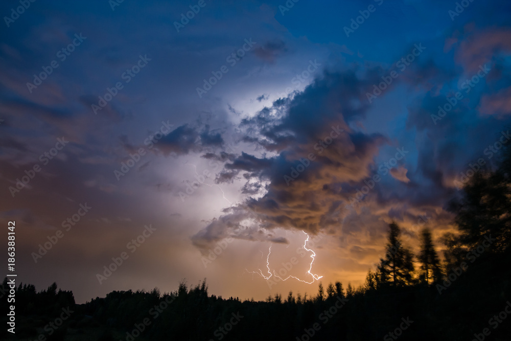Lightning strike over the forest