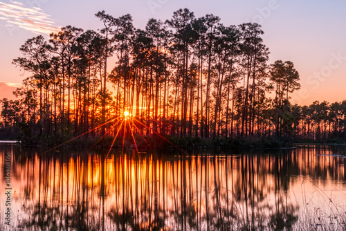 Sunset in the everglades of florida