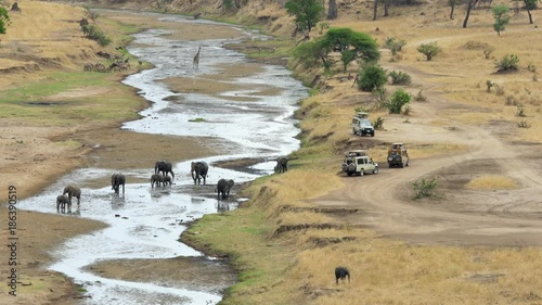 Panorama of Tarangire river bed