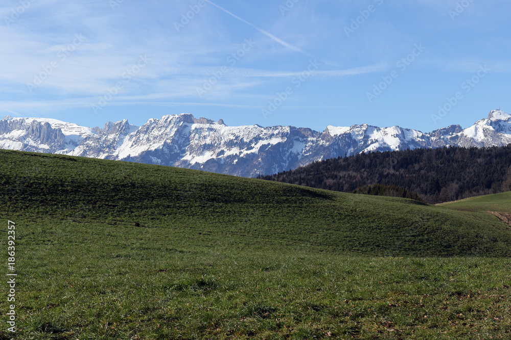 Blick auf die Schweizer Berge (Walgau)