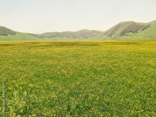 Bild auf Leinwand paesaggio