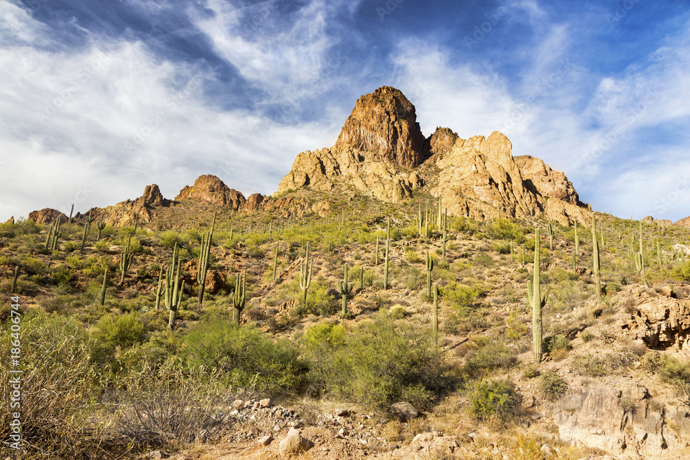 Scenic Desert Landscape and Saguaro Cactus Plants while driving historic Apache Trail through Superstition Mountains between Lost Dutchman State Park and Roosevelt Lake in Arizona USA