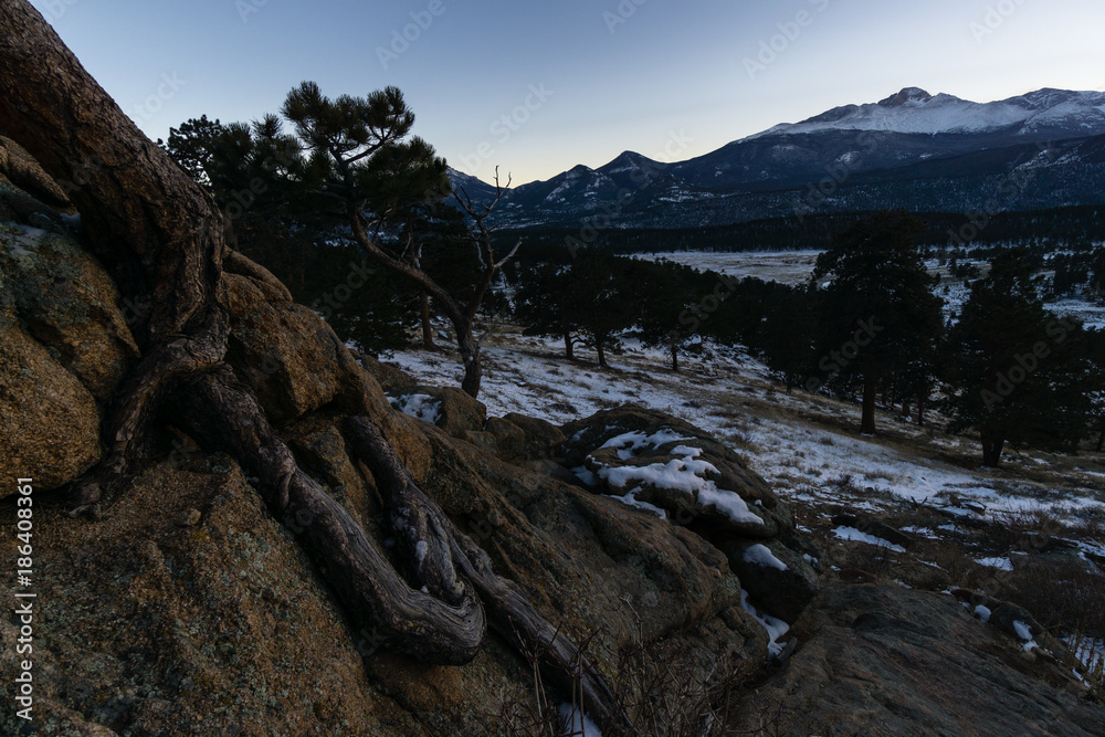 Upper Beaver Meadows