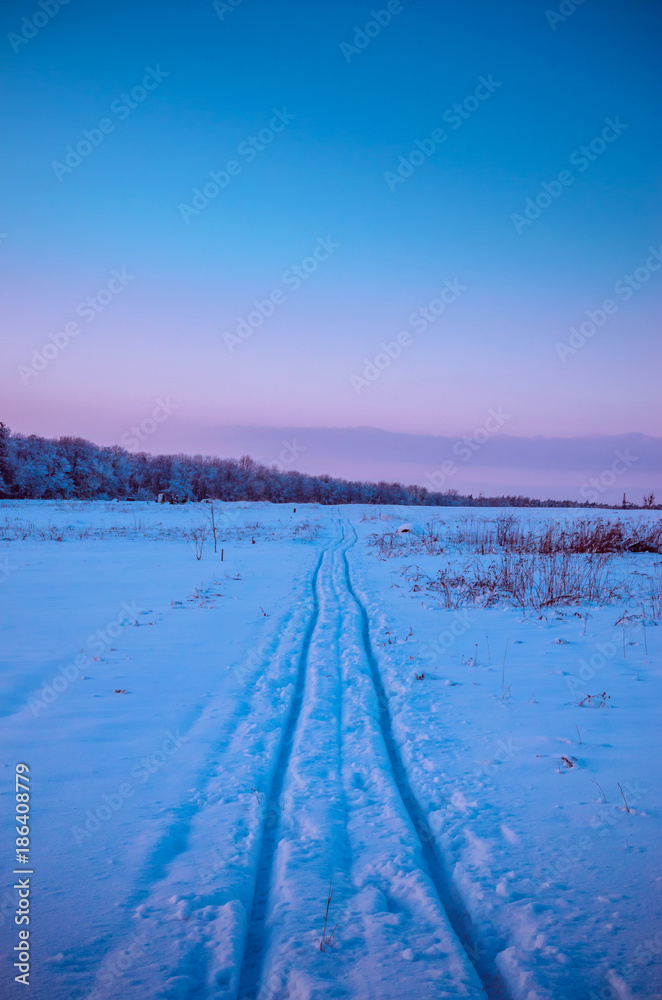 Winter Landscape with Snowy Field at sunset