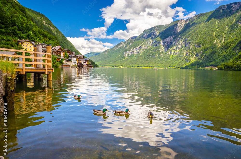 Fantastic landscape of Hallstatt lake with ducks, Austrian Alps,  Salzkammergut, Austria, Europe
