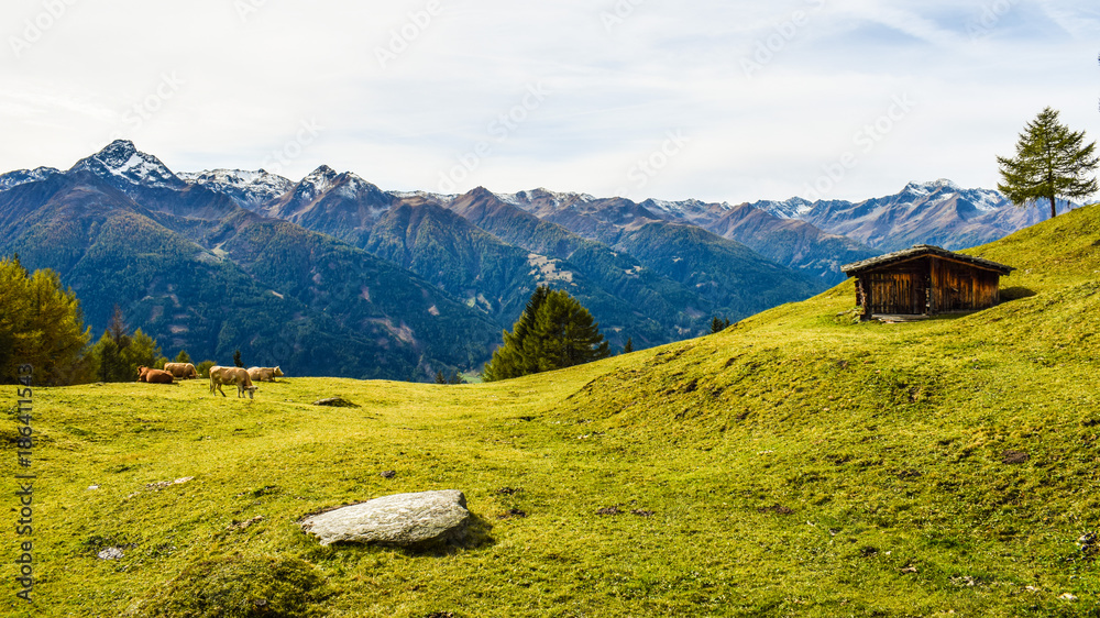 Fototapeta premium Almhütte und Kühe vor dem Lasörling im Herbst in Osttirol, Österreich