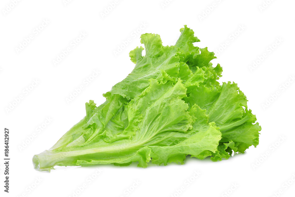 fresh green lettuce salad leaves isolated on white background fresh green lettuce salad leaves isolated on white background