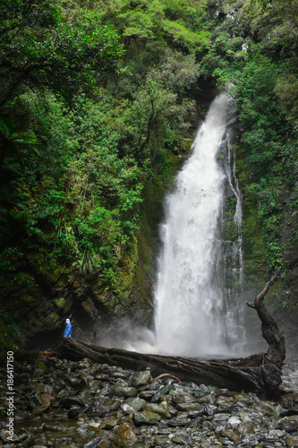 Hidden Falls Waterfall in the Hollyford Valley, New Zealand South Island photo