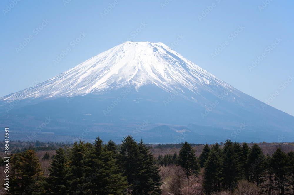 富士山