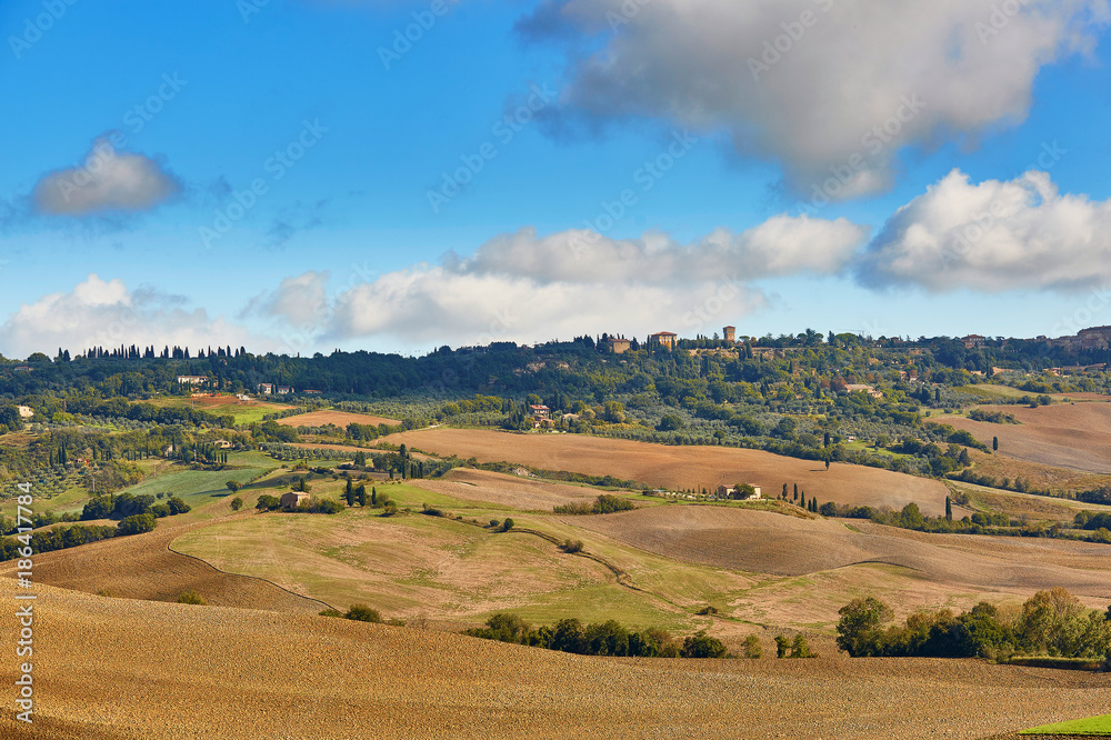 Fototapeta premium Landscape of San Quirico d'Orcia, Tuscany, Italy