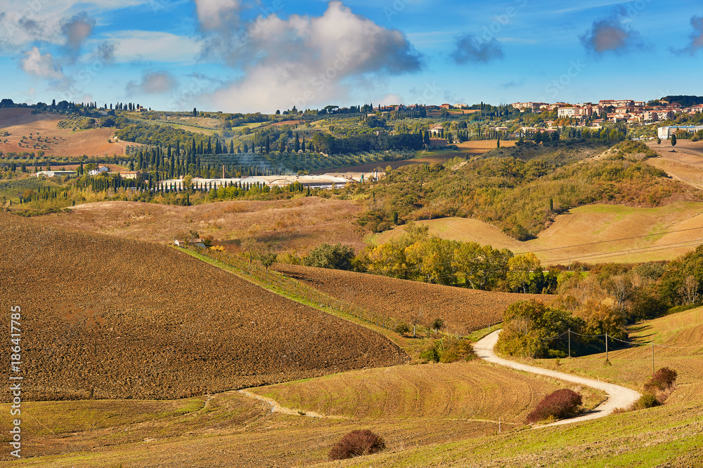 Naklejka premium Landscape of San Quirico d'Orcia, Tuscany, Italy