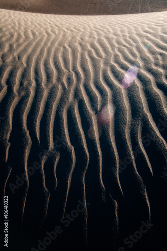 The scenery of desert in Ejina, Inner Mongolia, China
