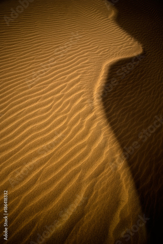 The scenery of desert in Ejina, Inner Mongolia, China