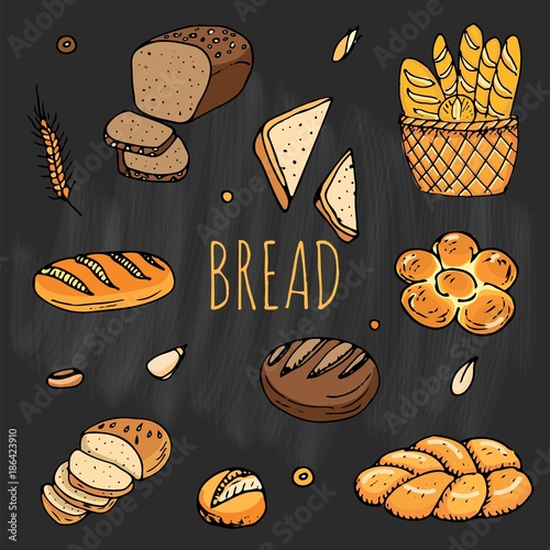 Hand drawn doodles of cartoon food: rye bread, ciabatta, whole grain bread, bagel, sliced bread, french baguette, croissant, sandwich, cake. Bread set. Vector illustration. Sketch elements collection.