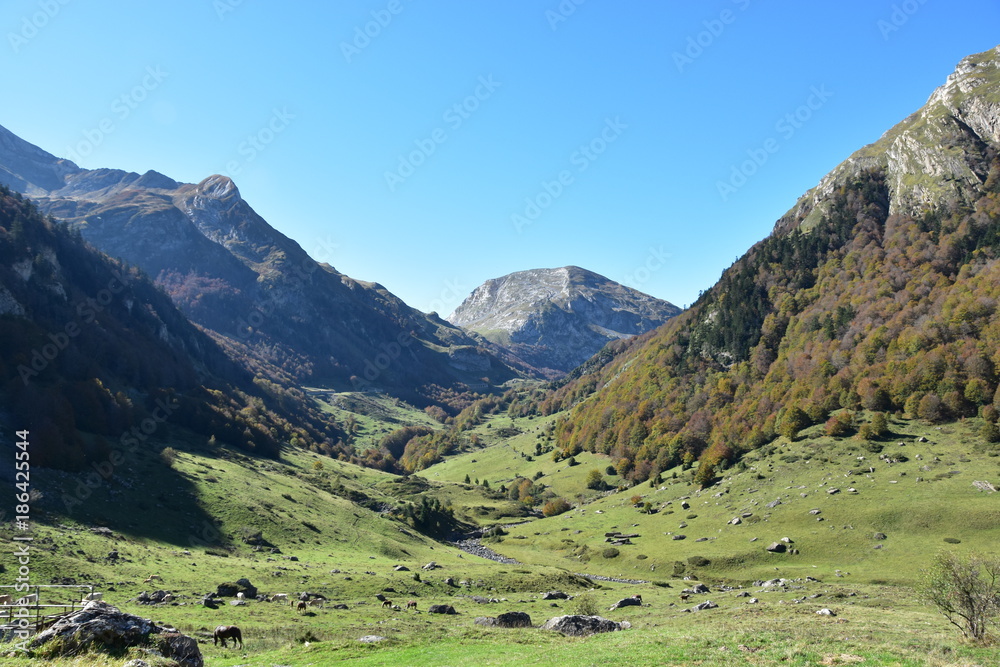Tal in den Französichen Pyrenäen