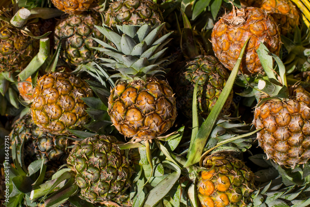 A lot Pineapple background A lot Pineapple background