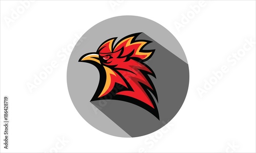 Chicken Rooster