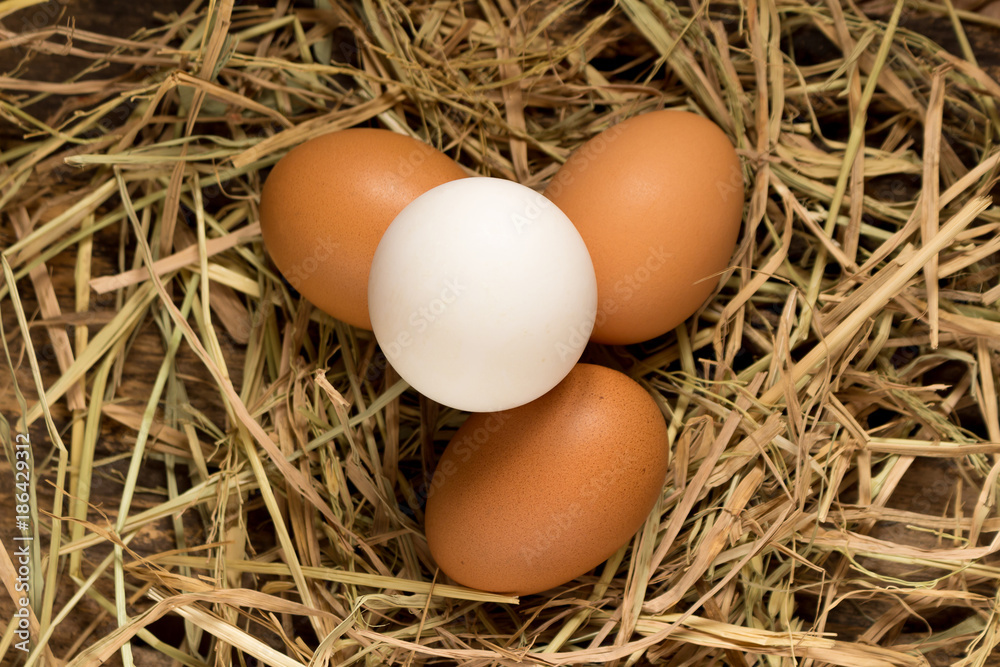 egg. straw. on wood