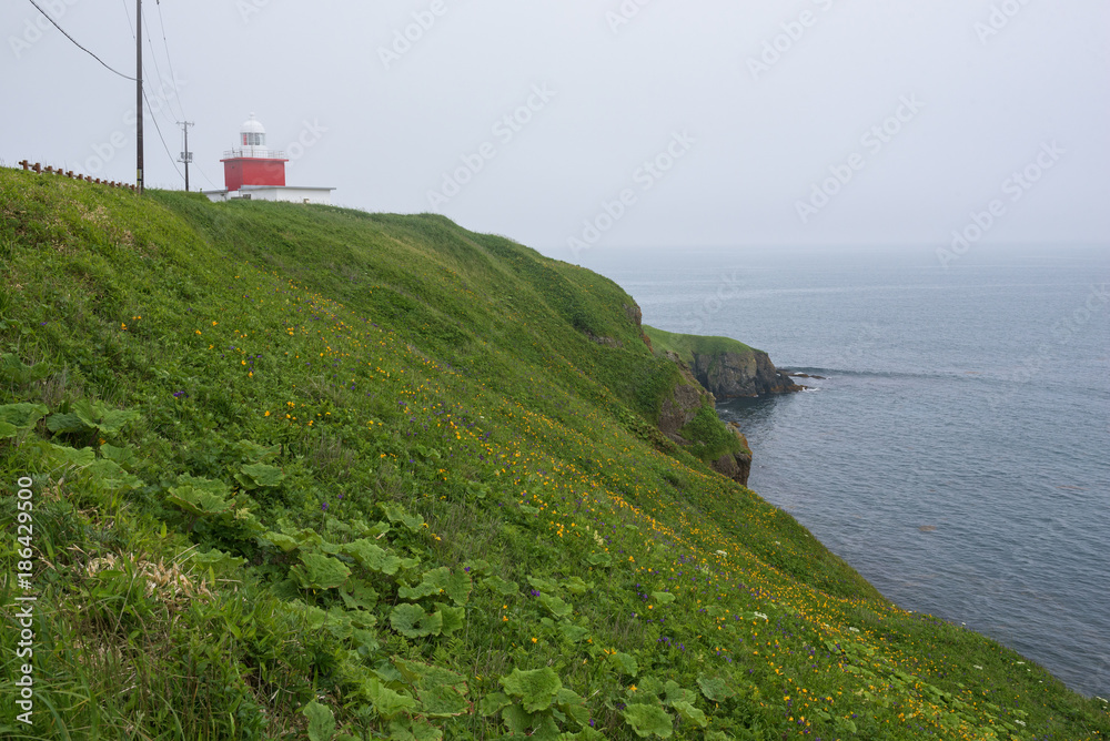 Lighthouse on the rocky cliffs of Kiritappu cape, Hokkaido, Japan