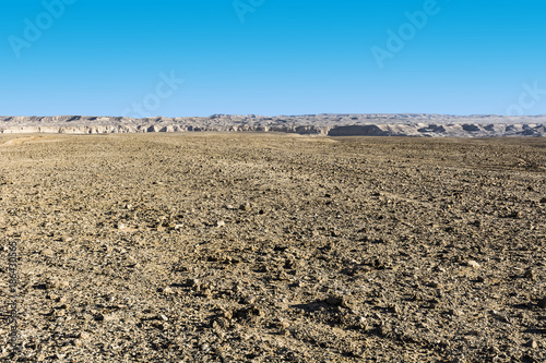 Obraz na płótnie Negev Desert in Israel