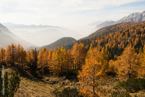 Autumn colors and yellow larches in Triglav National Park in Slovenia