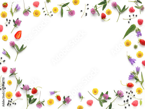 Composition pattern from plants, wild flowers and red berries, isolated on white background, flat lay, top view. The concept of summer, spring, Mother's Day, March 8. Frame of flowers and berries.