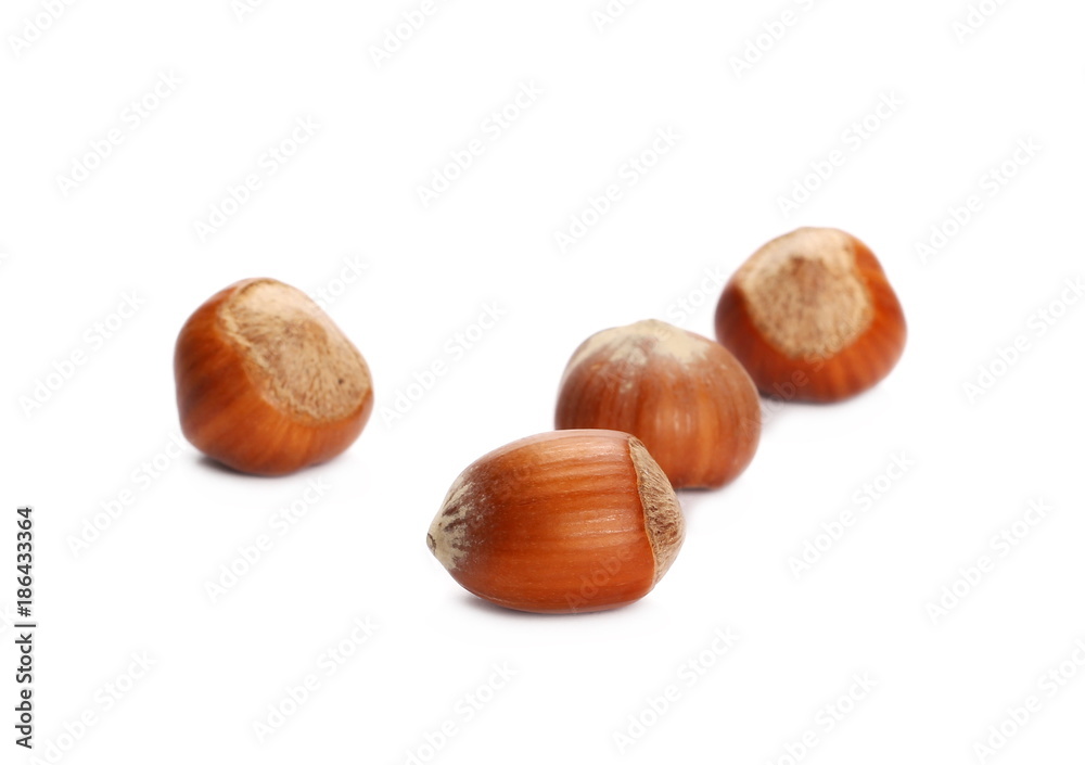 pile hazelnuts isolated white background pile hazelnuts isolated white background