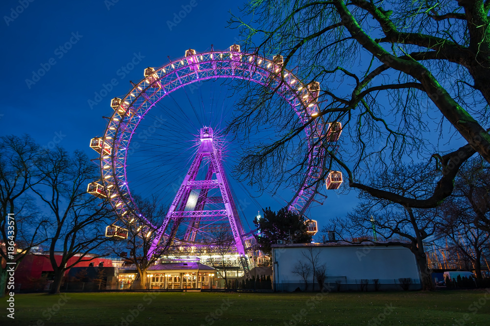 Obraz premium Wiener Riesenrad beleuchtet
