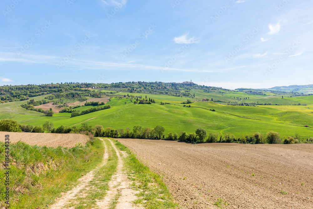 Farm road in Tuscan landscape view
