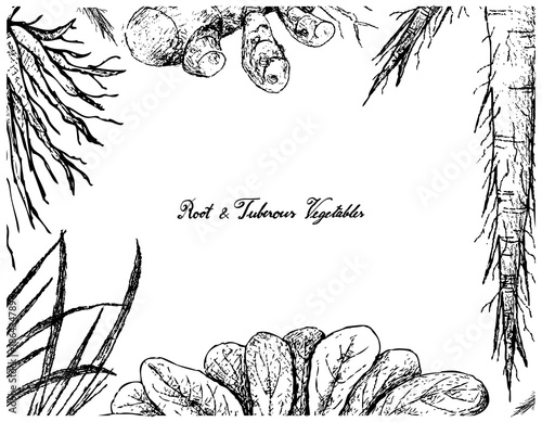 Hand Drawn Frame of Root and Tuberous Vegetables