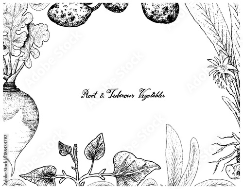 Hand Drawn Frame of Root and Tuberous Vegetables photo