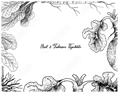 Hand Drawn Frame of Horseradish and Swede