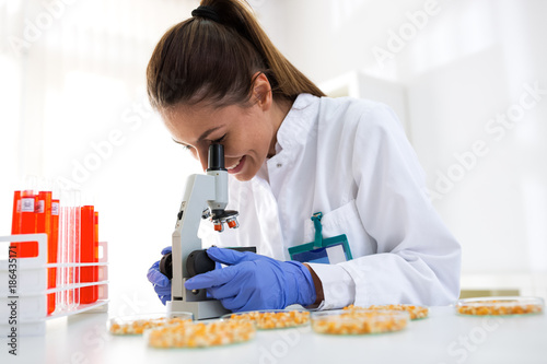 Quality control expert inspecting sample of corn