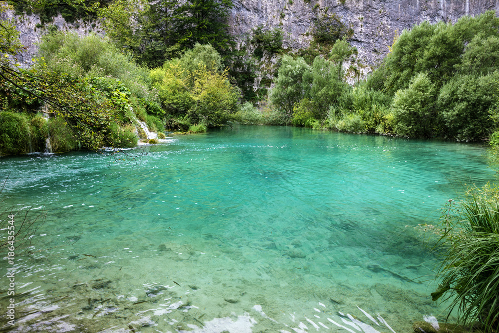 Naklejka premium Croatian lake landscape. Croatia Plitvice lake, natural travel background, national park