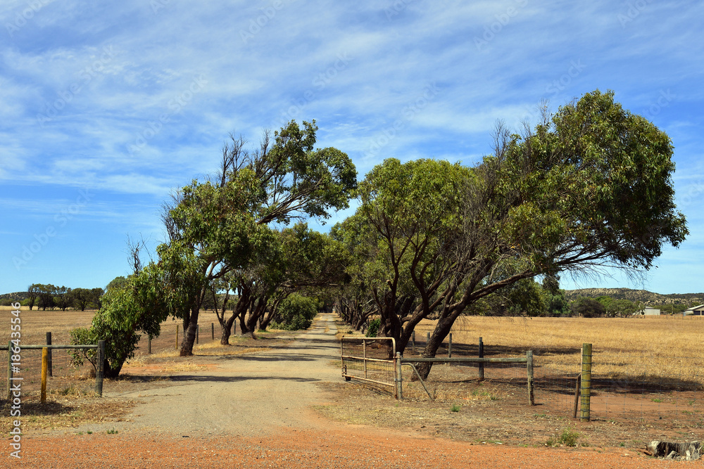 Fototapeta premium Australia, Landscape, nature