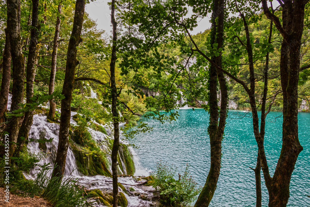 waterfalls in Croatia, Plitvice lake, natural travel background, national park