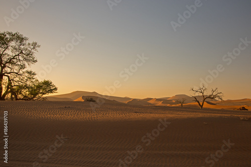 Sunrise in the sand dunes of Sossusvlei, Namibia