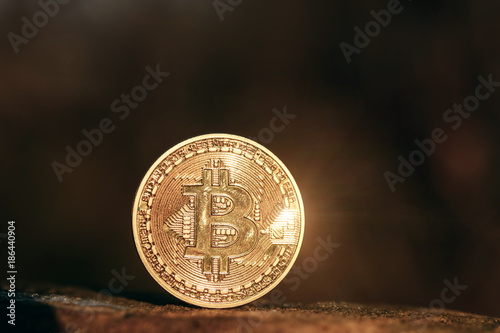 Bitcoin on the Background of Nature. Bitcoins gold color lie on the Stone photo