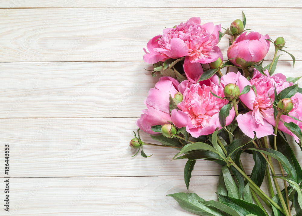 Picture with peonies Picture with peonies