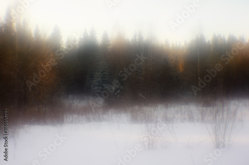 Winter forest. Northern landscape. Beautiful winter forest at sunset.