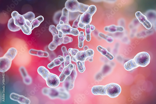 Clostridium difficile bacteria, 3D illustration. Spore-forming bacteria that cause pseudomembraneous colitis and are associated with nosocomial antibiotic resistance photo