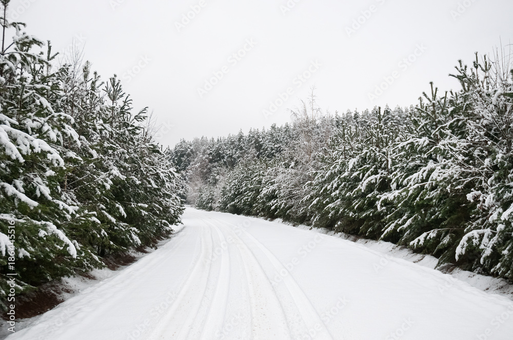Obraz premium Snowy road in the forest.