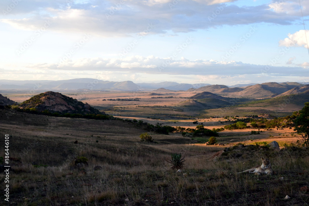 Fototapeta premium 2015-10 Südafrika