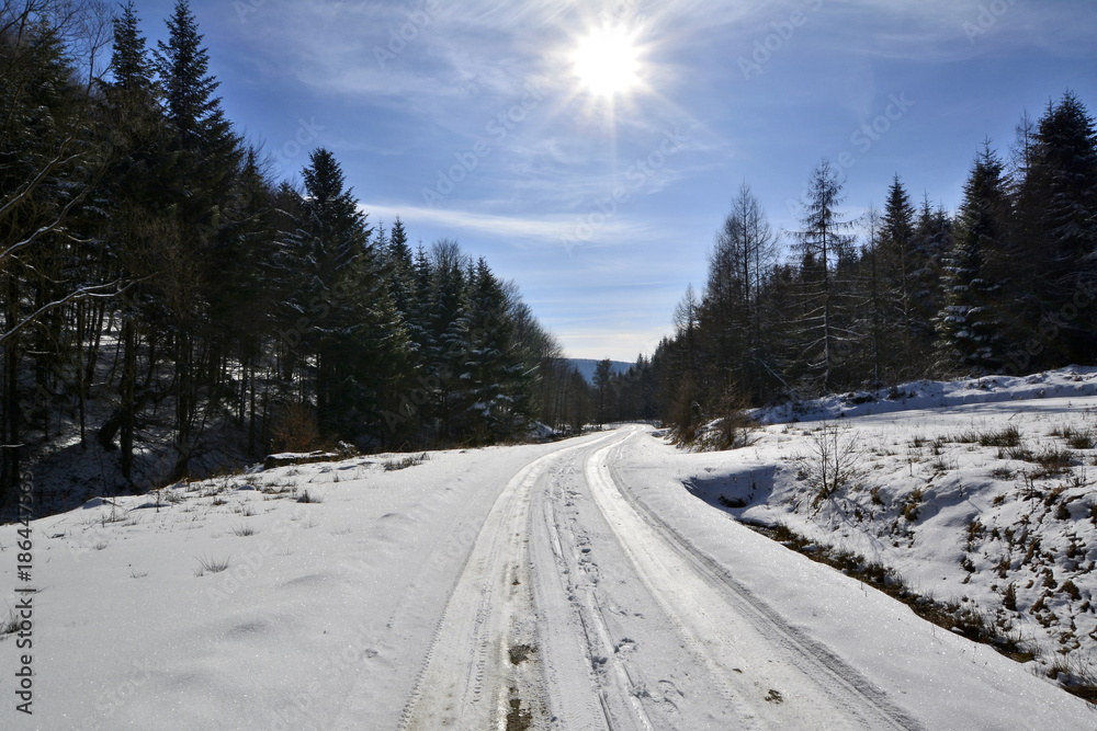 Obraz premium Forest road covered by snow in winter