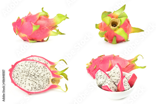 Group of polyrhizus isolated over a white background photo