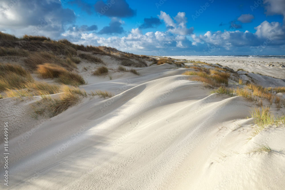 sand dunes by North sea beach on sunny day