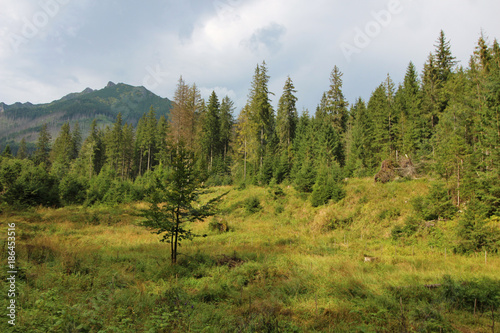 Wallpaper Mural Morskie Oko, Zakopane, Polonia Torontodigital.ca