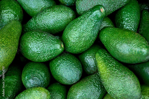 green fresh avocado photo